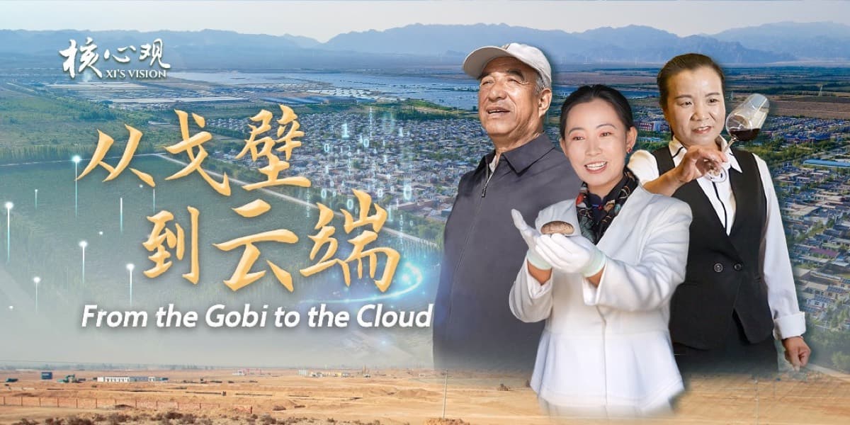 主题图:从宁夏戈壁到云端,配以当地居民与菌菇、葡萄酒等特色物产。