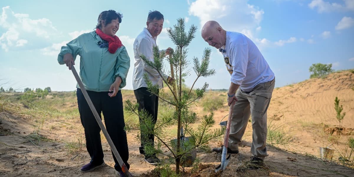 On the sand near Ordos, Inner Mongolia, Yin Yuzhen and an American visitor plant a sapling together, each holding a shovel.