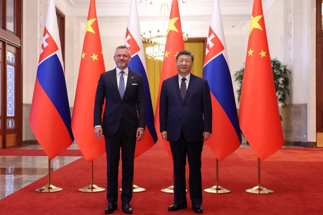 习近平在人民大会堂会见来访的斯洛伐克总统佩莱格里尼,两国国旗并列。